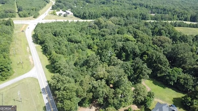 3128 High Falls Rd, Griffin, GA 30223 - photo 7