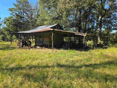 0 Ralph Wood Rd unit 246370, Dublin, GA 31021 - photo 5