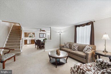 920 Lawnton Terrace, Glenolden, PA 19036 - photo 5