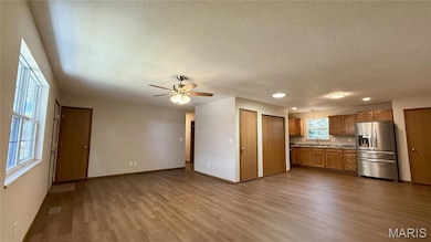 301 Ackerman Place, Troy, IL 62294 - photo 5