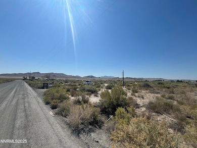 9 Ogden Ln, Yerington, NV 89447 - photo 3