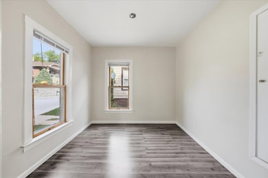 16 Ivy St, Joliet, IL 60436 - photo 4