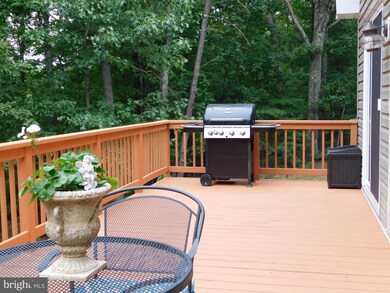 258 Hungaria Rd, Berkeley Springs, WV 25411 - photo 7