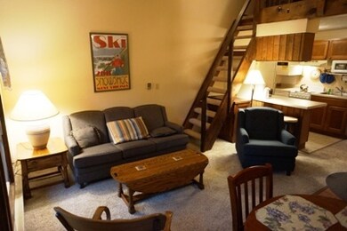 32 Mountain Crest Dr unit NORTH MOUNTAIN 1 SNO, Snowshoe, WV 24934 - photo 2