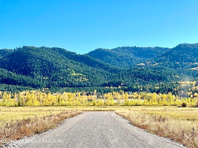 Canyon Wren fall photo6