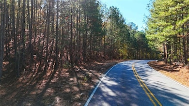 Corner Lot street view on Haralson Mill Rd.