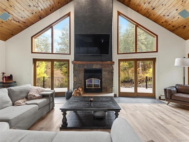 9459 S Turkey Creek Rd, Morrison, CO 80465 - photo 3