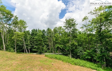 TBD Yarrow Ln, Boone, NC 28607 - photo 3