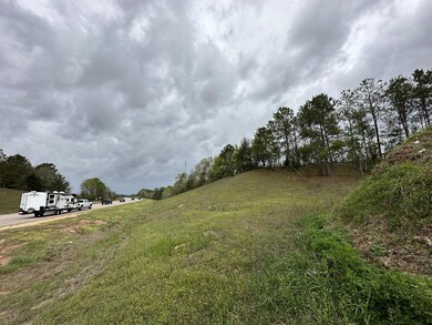 Tract#6103 E Lloyd Mill Rd, Other, AL 00N/A - photo 4