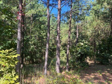 53 Weathered Timber Trail, Broken Bow, OK 74728 - photo 4