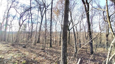 474726 E 660 Rd, Westville, OK 74965 - photo 3