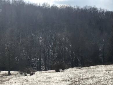 0 Russell Rd unit 196440, Brookville, IN 47012 - photo 6