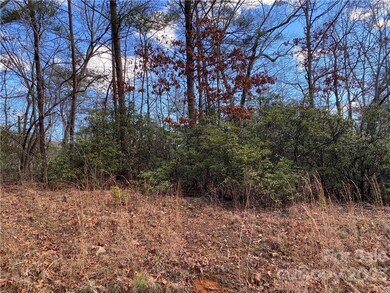 Lot 117 Sanderling Ct, Lake Lure, NC 28746 - photo 3