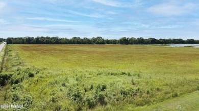 1900 Blk Golden Graine Rd, Rayne, LA 70578 - photo 5