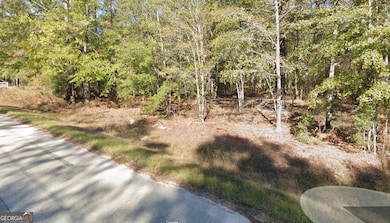 2 ACRES Sandy Ridge Rd, Millen, GA 30442 - photo 4