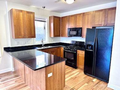 25 E 26th St unit 5, Chicago, IL 60616 - photo 3