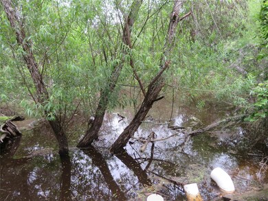View of where the pond is