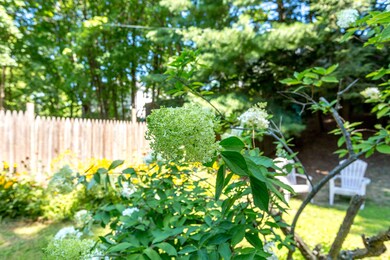 495 Saint John St, Portland, ME 04102 - photo 6