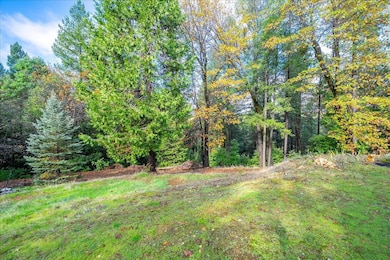 9201 Country Rd, Georgetown, CA 95634 - photo 5