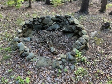 1451 lot00 Spruce Corner, Ashfield, MA 01330 - photo 7