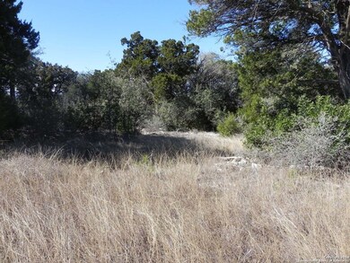 8603 Terra Mont Way, San Antonio, TX 78255 - photo 6