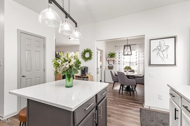 212 Cline Falls Dr, Holly Springs, NC 27540 - photo 4