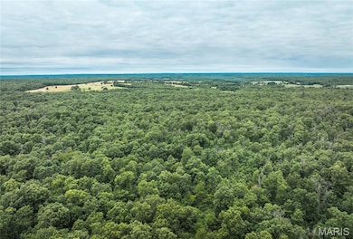 29405 Highway 63, Edgar Springs, MO 65462 - photo 2