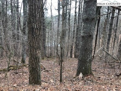 Lots 13-17 Panorama Dr, Todd, NC 28684 - photo 6