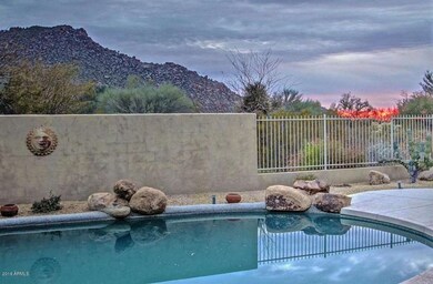 back yard