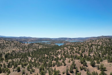 dji_fly_20250618_132920_559_175027945230