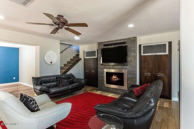 Designer Living Room