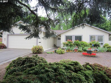 Front Yard