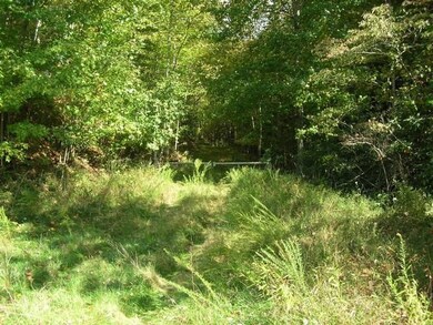 0 Highway 321, Blowing Rock, NC 28605 - photo 4