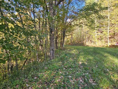 lot 4