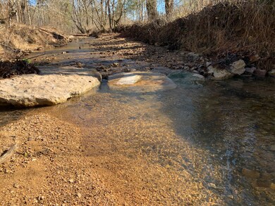 3527 Swindle Creek Rd, Linden, TN 37096 - photo 6