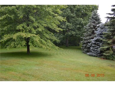 Yard/Garden.