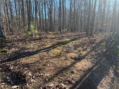 0 Westwood Dr, Seagrove, NC 27341 - photo 4