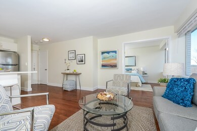 Hammond Park Condominiums unit 603, Chestnut Hill, MA 02467 - photo 4