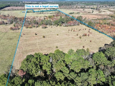 2901 Bailey Rd, Leesville, LA 71446 - photo 4