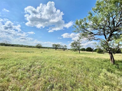 1505 Ballew Springs Rd, Weatherford, TX 76088 - photo 7