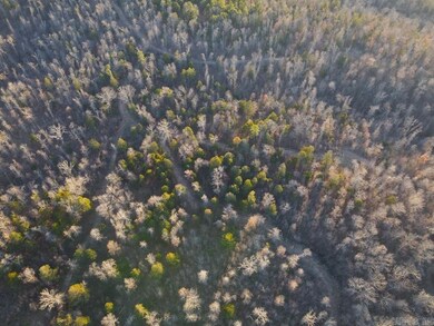 0 Punkin Flat Rd unit 25022106, Marshall, AR 72650 - photo 6