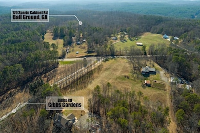 170 Sperin Cabinet Rd, Ball Ground, GA 30107 - photo 2