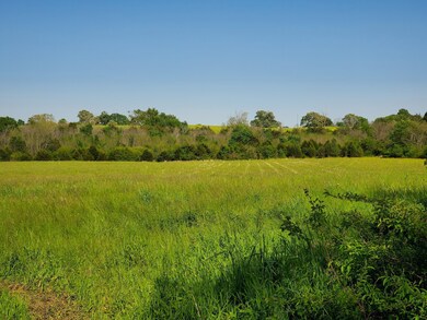 250 Temple Ford Rd, Shelbyville, TN 37160 - photo 6