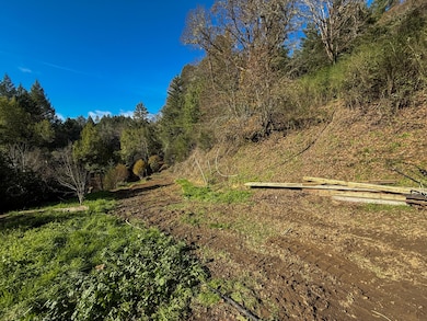 5200 Briceland Rd, Redway, CA 95560 - photo 7