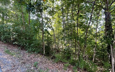 Additional View