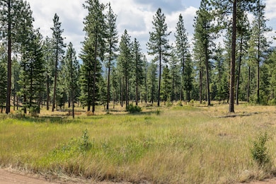 13902 Highland Trail, Alberton, MT 59820 - photo 3