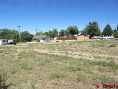 Lot 2 N Chestnut St, Cortez, CO 81321 - photo 4