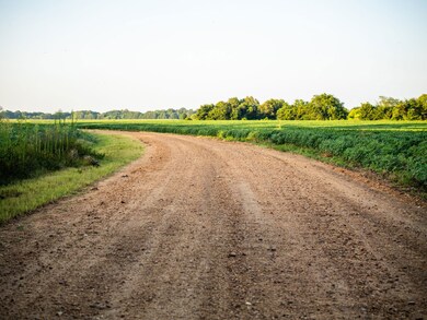 + - 705 Acres unit Tallahatchie County, Drew, MS 38944 - photo 3