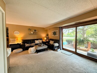 271 W 1st St unit 1B, Elmhurst, IL 60126 - photo 5