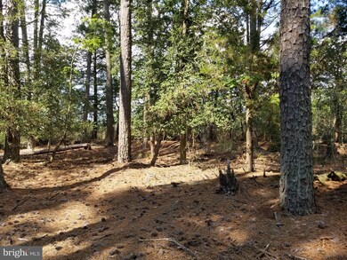 0 Toddville - Bishops Head Rd unit 1000999421, Toddville, MD 21672 - photo 5